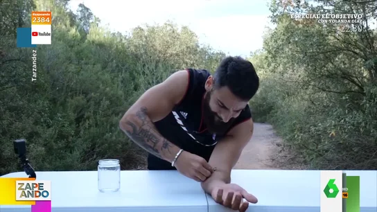 El influencer español Tarzández se deja picar por un escorpión amarillo: la curiosa reacción de la piel al veneno El influencer español Tarzández se deja picar por un escorpión amarillo: la curiosa reacción de la piel al veneno