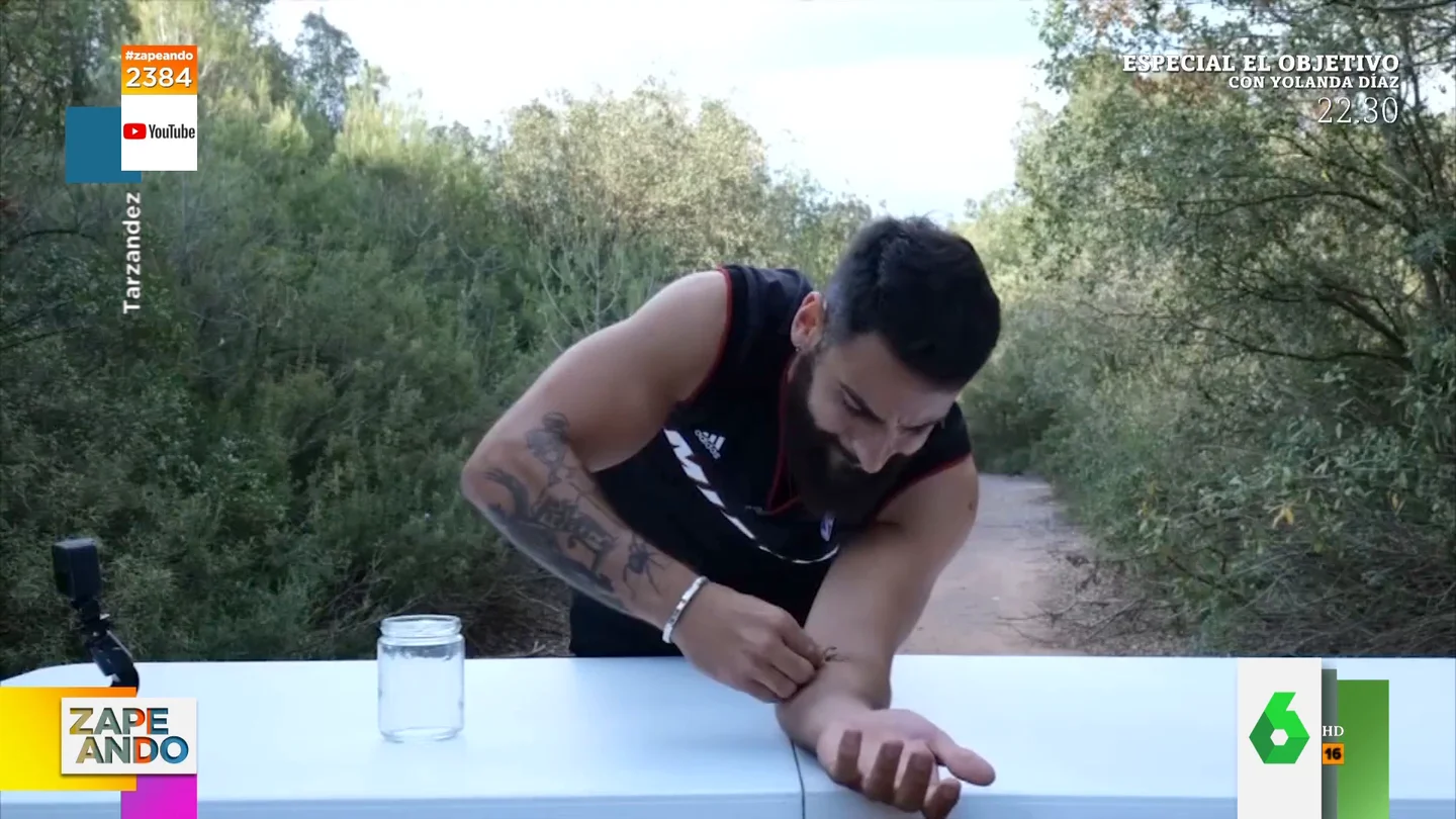 El influencer español Tarzández se deja picar por un escorpión amarillo: la curiosa reacción de la piel al veneno El influencer español Tarzández se deja picar por un escorpión amarillo: la curiosa reacción de la piel al veneno