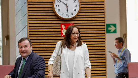 La diputada autonómica de Vox Llanos Massó, a su llegada al hemiciclo La diputada autonómica de Vox Llanos Massó, a su llegada al hemiciclo/ .EFE/ Manuel Bruque