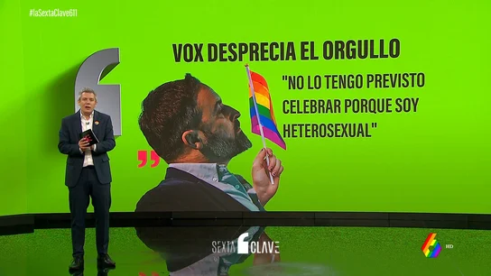 Todas las muestras antiLGTBI de Vox: desde retirar banderas en ayuntamientos y parlamentos a las palabras de Abascal Todas las muestras antiLGTBI de Vox: desde retirar banderas en ayuntamientos y parlamentos a las palabras de Abascal