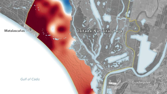 Las imágenes de satélite muestran que la sobreexplotación del acuífero está secando Doñana Las imágenes de satélite muestran que la sobreexplotación del acuífero está secando Doñana