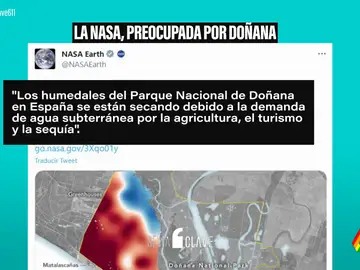 La NASA advierte de que las lagunas del Parque de Doñana se están secando