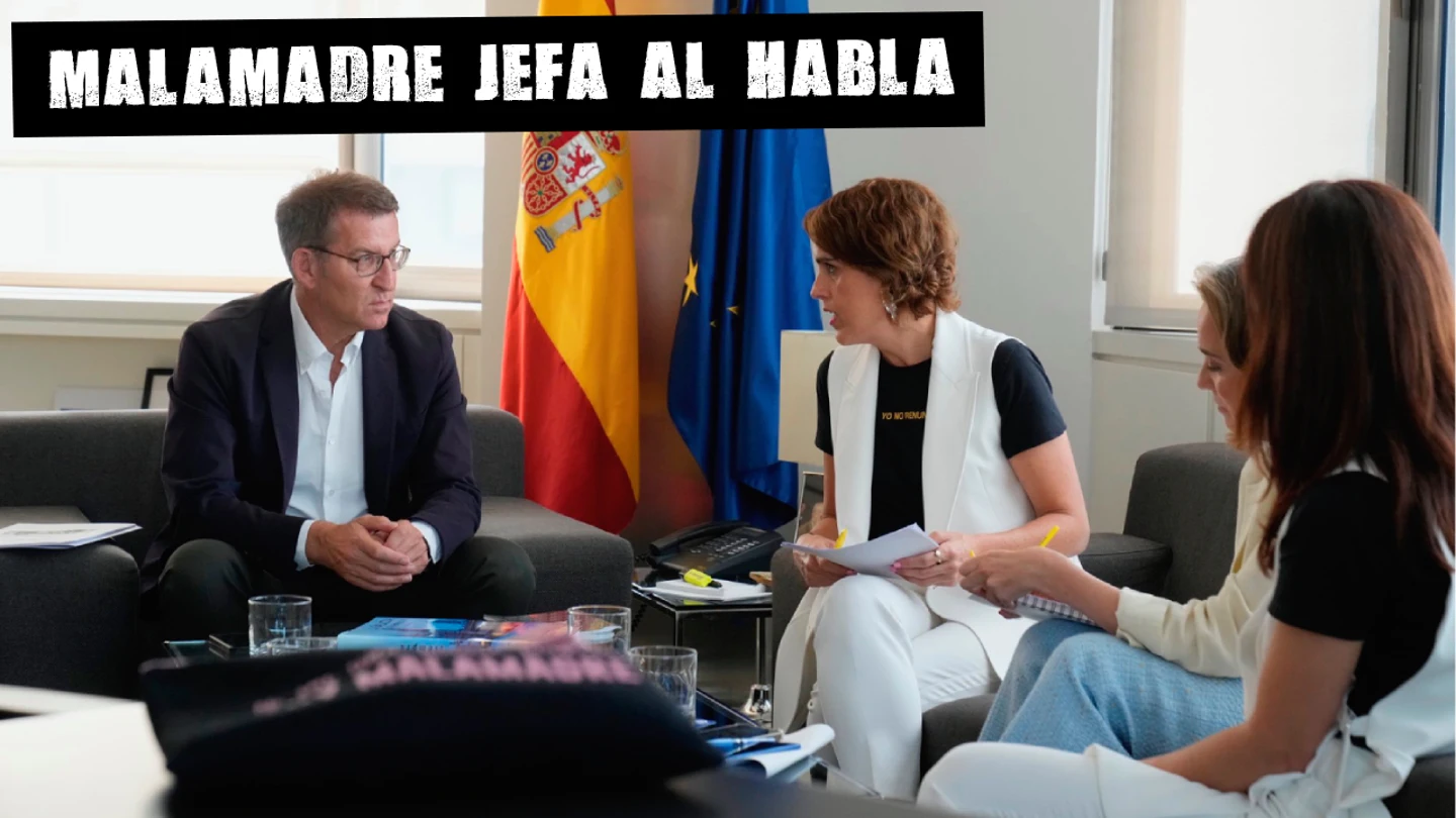 ¿Fascista o comunista? ¿En qué quedamos? ¿Fascista o comunista? ¿En qué quedamos?