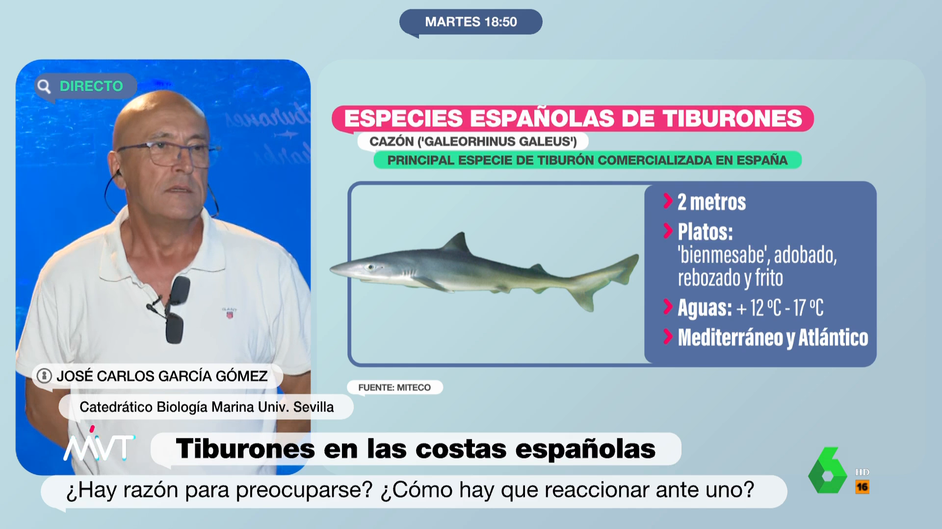 tiburones de biologia marina