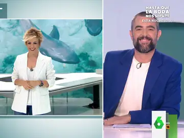 El consejo de Dani Mateo al decir Cristina Pardo que los tiburones se parecen a los perros