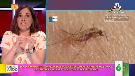 ¿Si tienes la sangre dulce los mosquitos te pican más? ¿Si tienes la sangre dulce los mosquitos te pican más?