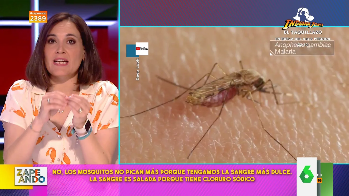 ¿Si tienes la sangre dulce los mosquitos te pican más? ¿Si tienes la sangre dulce los mosquitos te pican más?