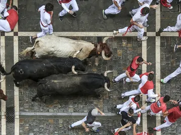 Encierros. San Fermín Encierros. San Fermín