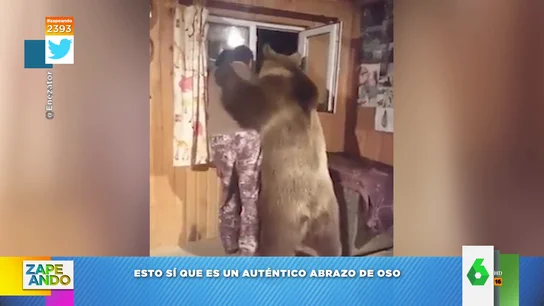 El vídeo viral de un oso que abraza a un hombre El vídeo viral de un oso que abraza a un hombre