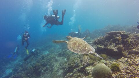 Isla de Borneo