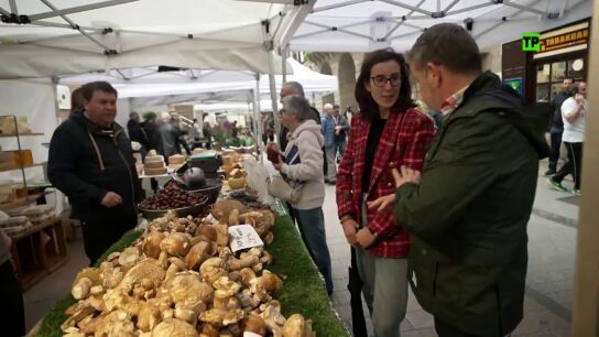 "Esta es mortal, mortal": Alberto Chicote destapa los peligros del tr&aacute;fico ilegal de setas en &iquest;Te lo vas a comer?