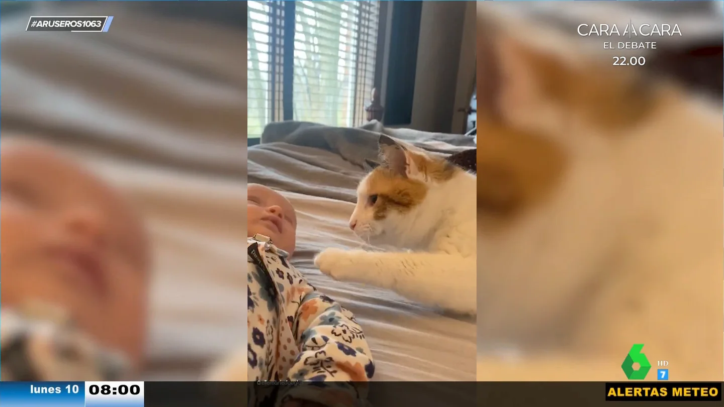 Vídeo viral de un gato con un bebé Vídeo viral de un gato con un bebé