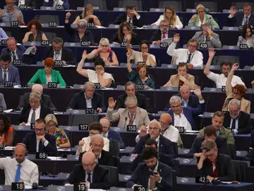 La Ley de Restauración de la Naturaleza ha salido adelante en la Eurocámara La Ley de Restauración de la Naturaleza ha salido adelante en la Eurocámara