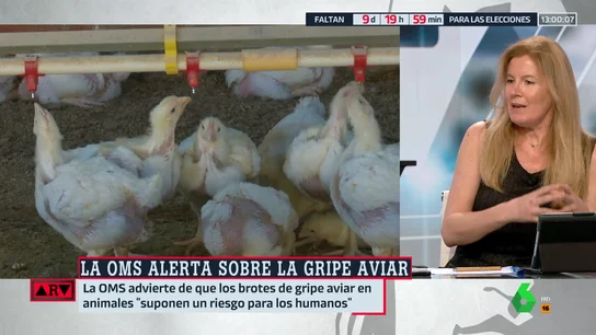 Graziella Almendral advierte sobre la gripe aviar: "Tenemos una evolución de este virus que se nos ha ido de las manos" Graziella Almendral advierte sobre la gripe aviar: "Tenemos una evolución de este virus que se nos ha ido de las manos"