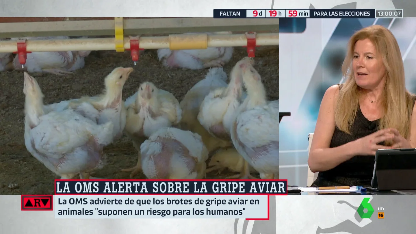 Graziella Almendral advierte sobre la gripe aviar: "Tenemos una evolución de este virus que se nos ha ido de las manos" Graziella Almendral advierte sobre la gripe aviar: "Tenemos una evolución de este virus que se nos ha ido de las manos"