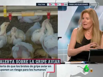 Graziella Almendral advierte sobre la gripe aviar: &quot;Tenemos una evolución de este virus que se nos ha ido de las manos&quot;