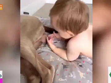 El divertido viral de un bebé que agarra los testículos de un perro