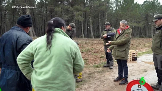 Una recolectora ilegal de setas se encara con Alberto Chicote y la Guardia Civil: "Llevo 30 años aquí y en mi vida me han quitado los níscalos" Una recolectora ilegal de setas se encara con Alberto Chicote y la Guardia Civil: "Llevo 30 años aquí y en mi vida me han quitado los níscalos"