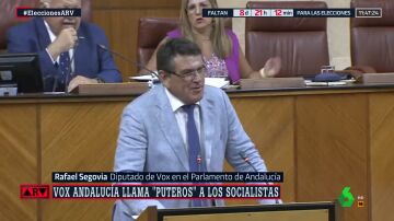 El diputado del Grupo Parlamentario Vox Andalucía, Rafael Segovia.