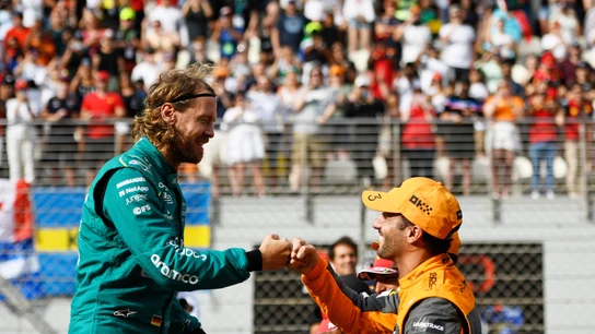 Sebastian Vettel y Daniel Ricciardo Sebastian Vettel y Daniel Ricciardo