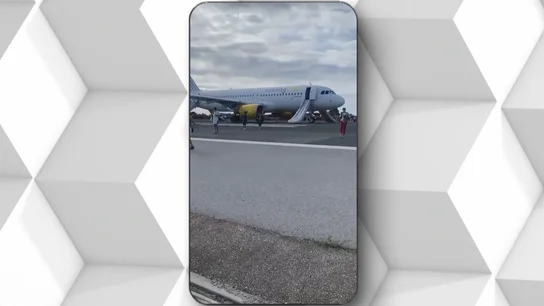 El impacto de un ave contra un avión obliga a abortar el despegue y causa retrasos en el aeropuerto de Barcelona El impacto de un ave contra un avión obliga a abortar el despegue y causa retrasos en el aeropuerto de Barcelona