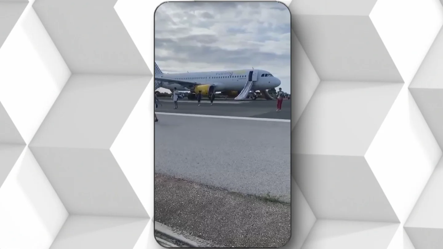El impacto de un ave contra un avión obliga a abortar el despegue y causa retrasos en el aeropuerto de Barcelona El impacto de un ave contra un avión obliga a abortar el despegue y causa retrasos en el aeropuerto de Barcelona