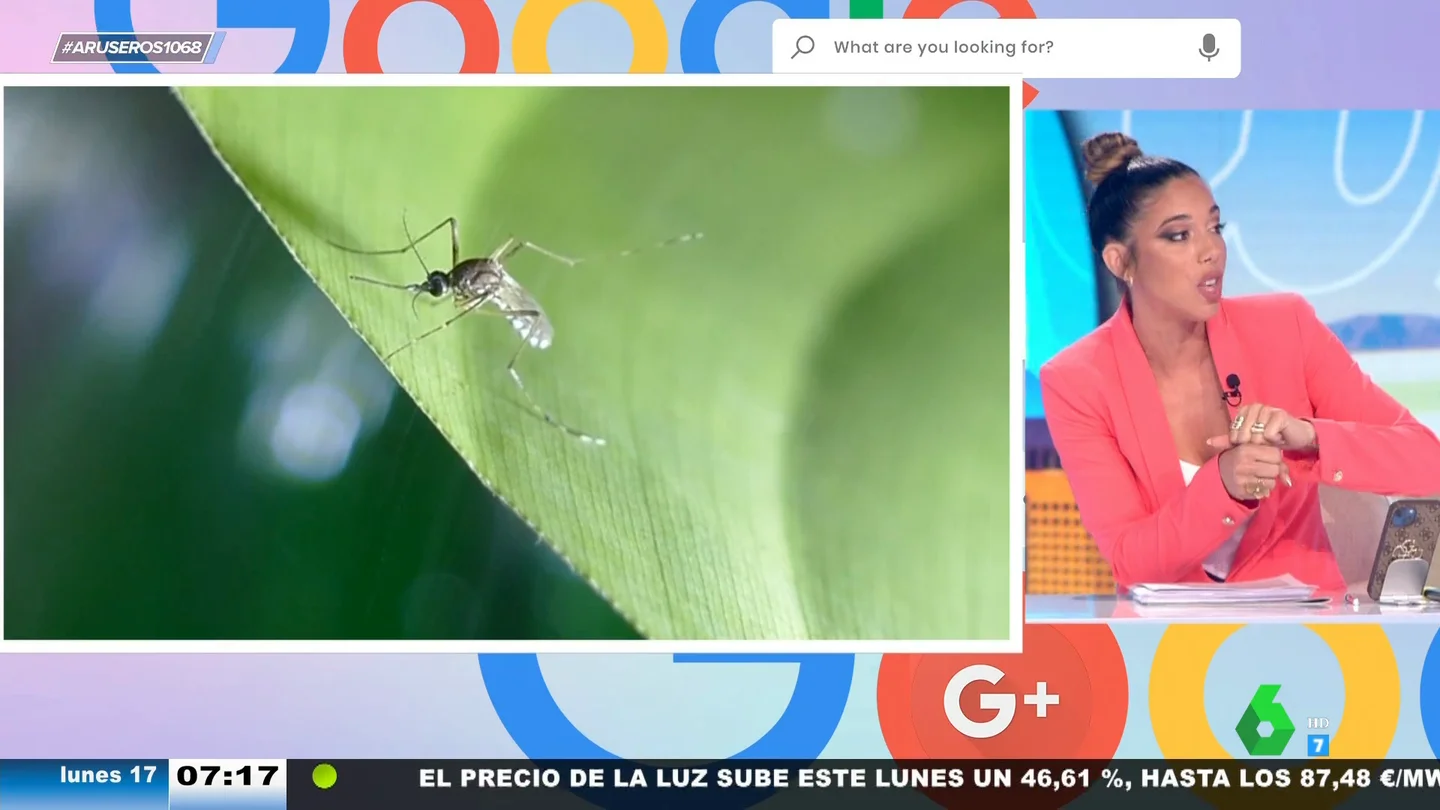 Este es el remedio definitivo para evitar que las picaduras de mosquitos se te infecten: agua, jabón, hielo y crema Este es el remedio definitivo para evitar que las picaduras de mosquitos se te infecten: agua, jabón, hielo y crema