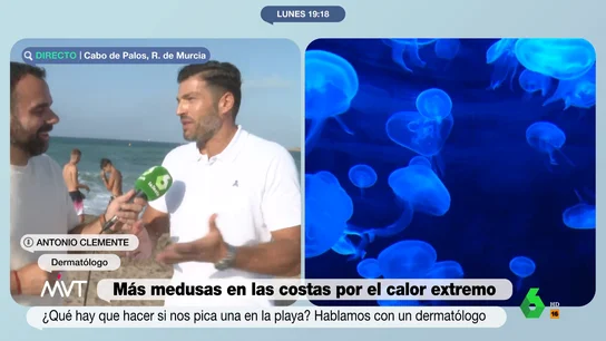 Un dermatólogo explica qué hacer si te pica una medusa Un dermatólogo explica qué hacer si te pica una medusa