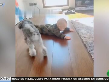 El entrañable vídeo de un perro intentando enseñar a un bebé humano a arrastrarse como si fuera su cachorro