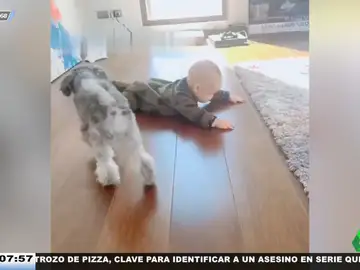 El entrañable vídeo de un perro intentando enseñar a un bebé humano a arrastrarse como si fuera su cachorro