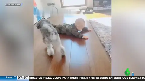 El entrañable vídeo de un perro intentando enseñar a un bebé humano a arrastrarse como si fuera su cachorro