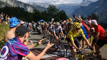 Varios ciclistas durante el Tour de Francia