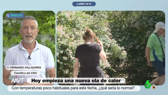 Fernando Valladares, científico del CSIC Fernando Valladares, científico del CSIC