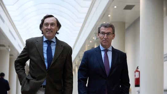 El senador del PP Rafael Hernando y el presidente del PP, Alberto Núñez Feijóo. El senador del PP Rafael Hernando y el presidente del PP, Alberto Núñez Feijóo.