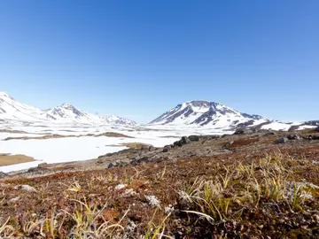 El noroeste de Groenlandia estuvo libre de hielo hace 400.000 anos El noroeste de Groenlandia estuvo libre de hielo hace 400.000 anos