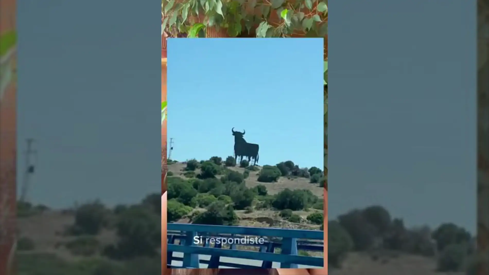 Una mujer mexicana desvela algo sobre los toros de Osborne: "Pensaba que era algo de México"