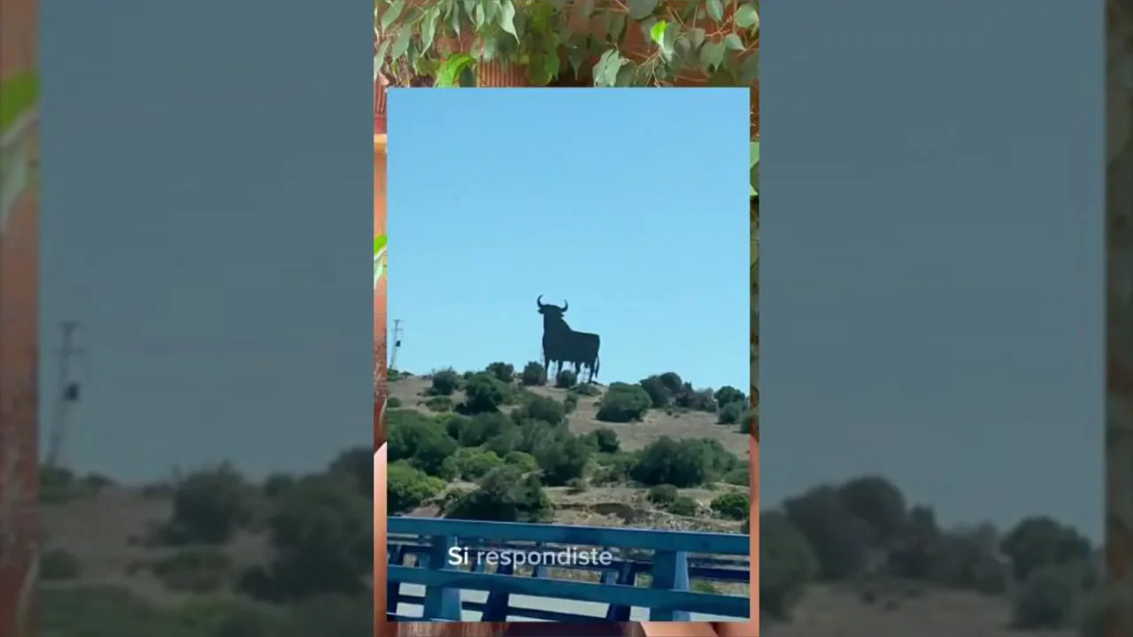 Una mujer mexicana desvela algo sobre los toros de Osborne: "Pensaba que era algo de México" Una mujer mexicana desvela algo sobre los toros de Osborne: "Pensaba que era algo de México"