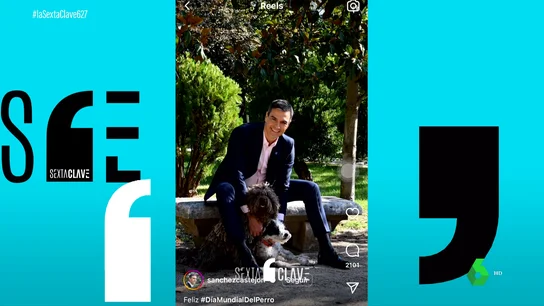 perro perro