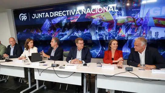 El líder del PP, Alberto Núñez Feijóo, durante su asistencia a la Junta Directiva Nacional del PP. El líder del PP, Alberto Núñez Feijóo, durante su asistencia a la Junta Directiva Nacional del PP.