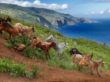 La Palma: miradores y playas que no te puedes perder La Palma: miradores y playas que no te puedes perder