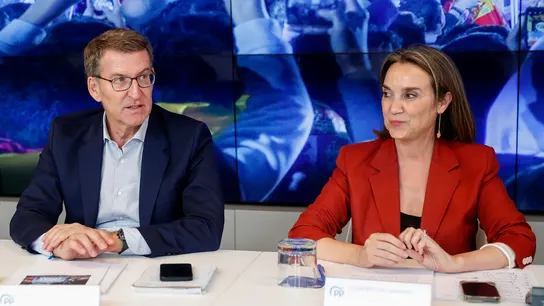 El PSOE ve a Feijóo "tocado de muerte" y cree que el PP insiste en la investidura para "no precipitar su caída brusca" El PSOE ve a Feijóo "tocado de muerte" y cree que el PP insiste en la investidura para "no precipitar su caída brusca"