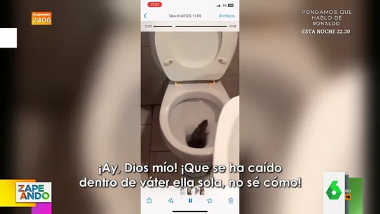 El terror de una mujer al encontrarse una rata en el interior del váter El terror de una mujer al encontrarse una rata en el interior del váter
