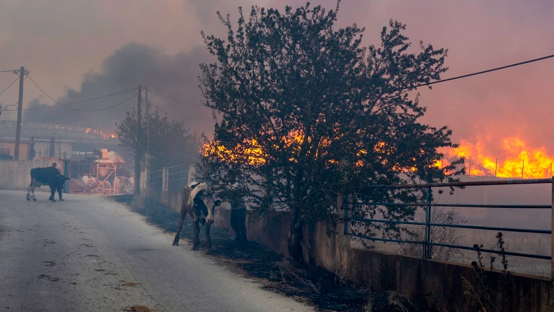 La ola de incendios en el Mediterráneo deja ya más de 50 víctimas