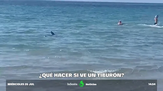 tintoreras tintoreras