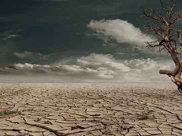 Si los humanos se extinguieran, ¿cómo sería la Tierra? Si los humanos se extinguieran, ¿cómo sería la Tierra?