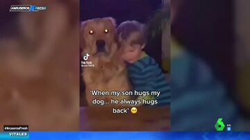 La emotiva reacción de un can cuando le abraza el bebé de la casa