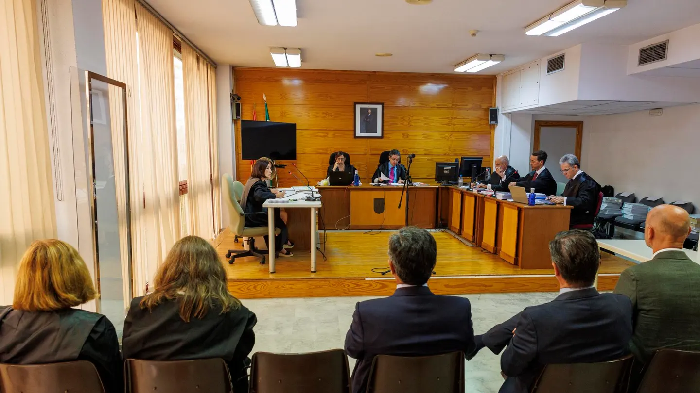 Juicio por el desastre de Aznalcóllar Juicio por el desastre de Aznalcóllar