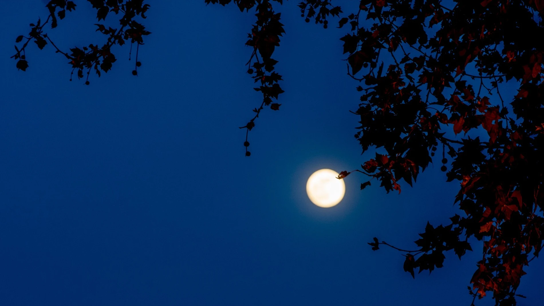 Luna llena de agosto 2023: cuándo y dónde ver la luna del esturión