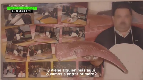 Chicote descubre con la Guardia Civil que uno de los mayores productores del mundo podría distribuir atún rojo de forma ilegal Chicote descubre con la Guardia Civil que uno de los mayores productores del mundo podría distribuir atún rojo de forma ilegal