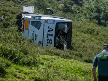Imagen del autobús accidentado cuando hacía la ruta entre Covadonga y los Lagos